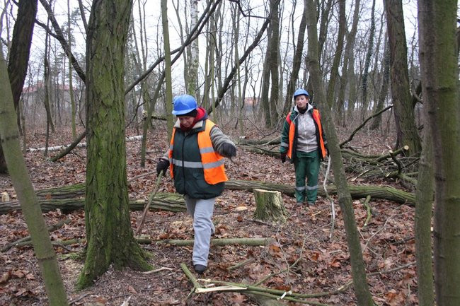 Park 1000-lecia zdemolowany (zdjęcia)