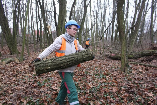 Park 1000-lecia zdemolowany (zdjęcia)