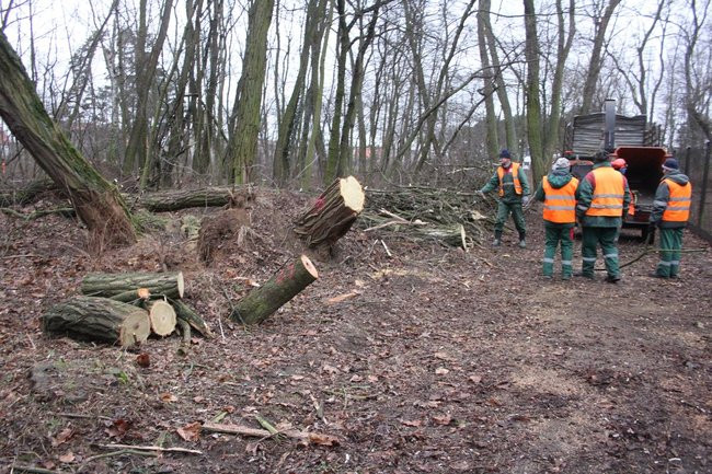 Park 1000-lecia zdemolowany (zdjęcia)