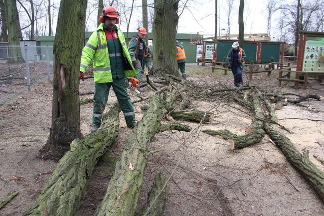 Park 1000-lecia zdemolowany (zdjęcia)