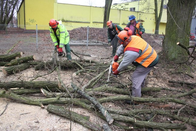 Park 1000-lecia zdemolowany (zdjęcia)