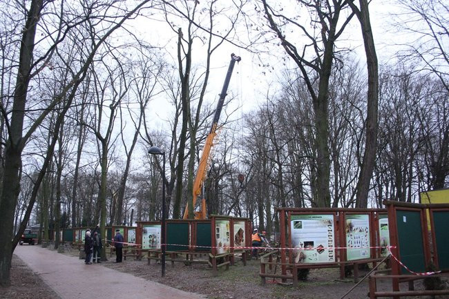 Park 1000-lecia zdemolowany (zdjęcia)