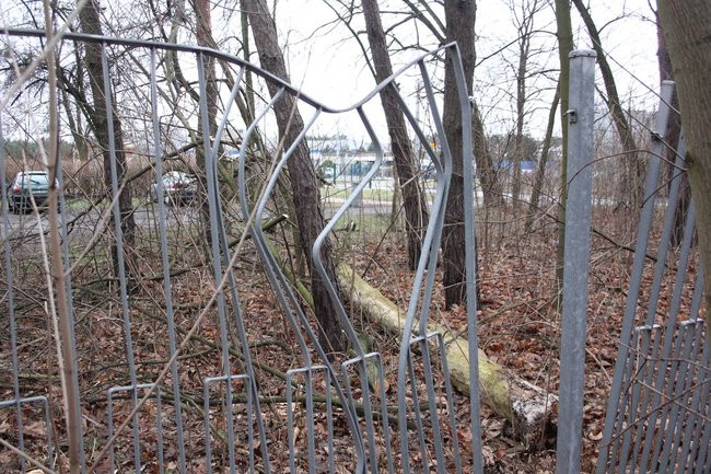 Park 1000-lecia zdemolowany (zdjęcia)