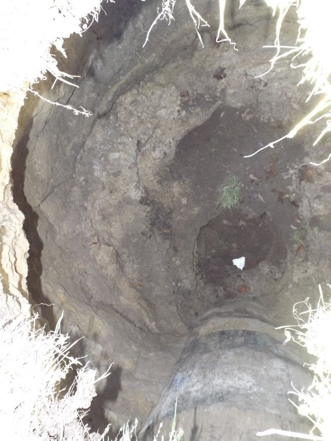 Zachowajcie ostrożność przy Grunwaldzkiej! (zdjęcia)