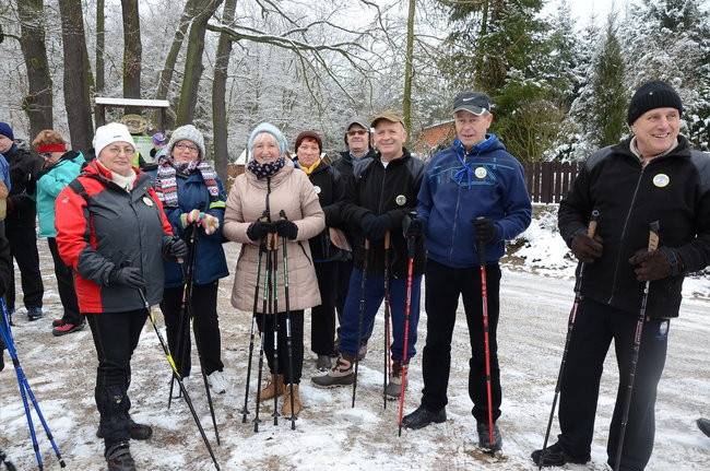 Piechurzy w bajkowym lesie (zdjęcia)