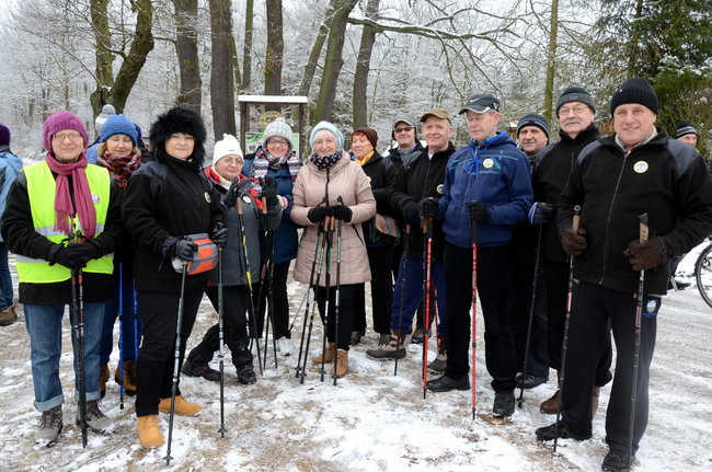 Piechurzy w bajkowym lesie (zdjęcia)