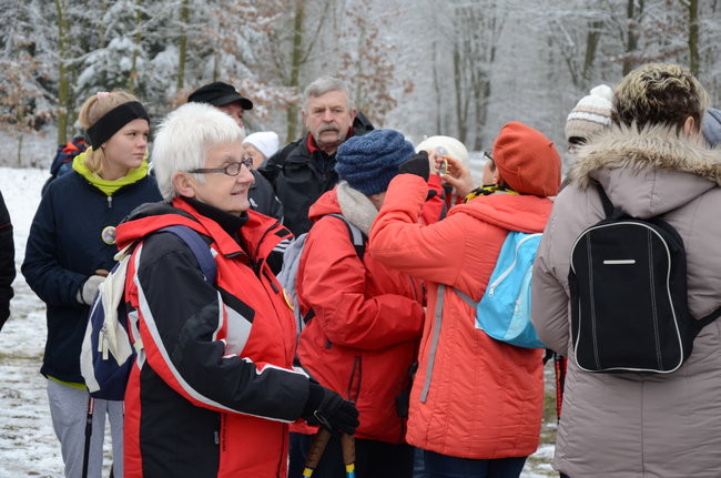Piechurzy w bajkowym lesie (zdjęcia)