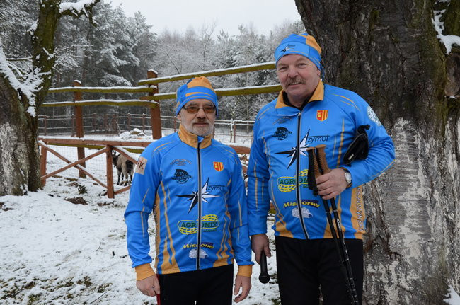 Piechurzy w bajkowym lesie (zdjęcia)