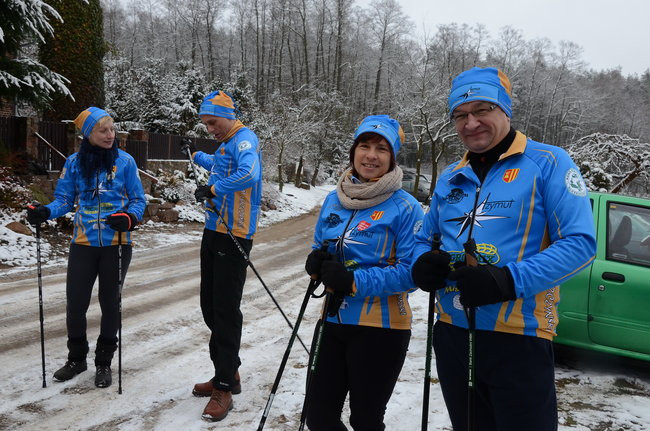 Piechurzy w bajkowym lesie (zdjęcia)