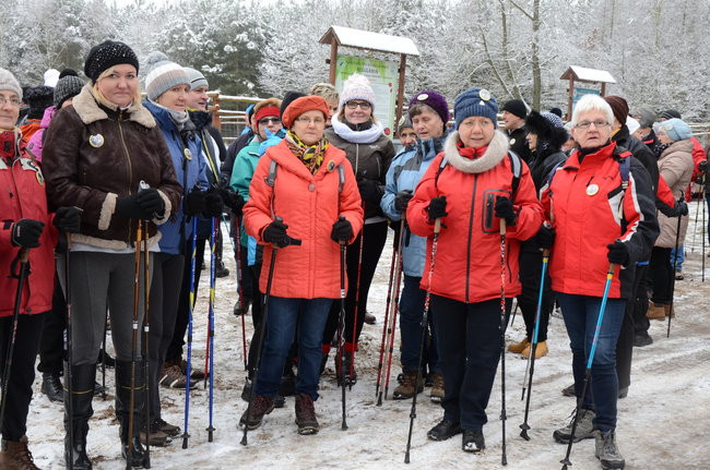Piechurzy w bajkowym lesie (zdjęcia)