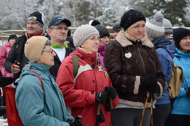 Piechurzy w bajkowym lesie (zdjęcia)