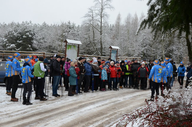 Piechurzy w bajkowym lesie (zdjęcia)