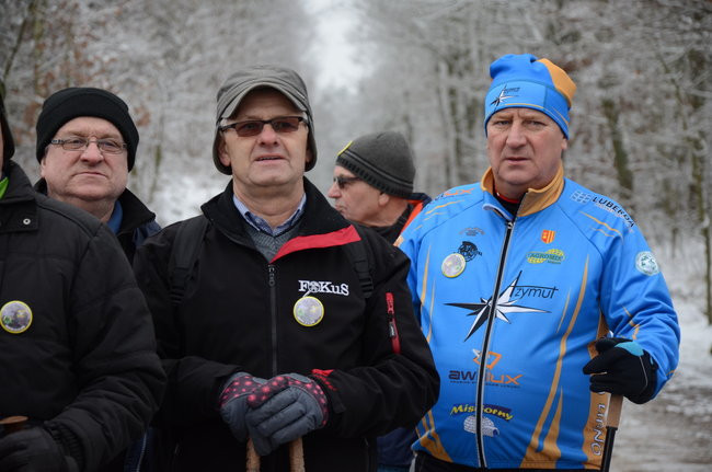 Piechurzy w bajkowym lesie (zdjęcia)