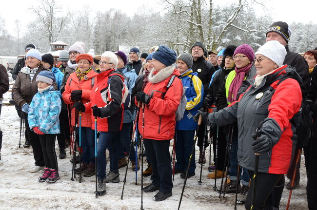 Piechurzy w bajkowym lesie (zdjęcia)