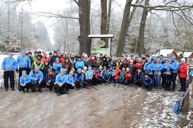 Piechurzy w bajkowym lesie (zdjęcia)