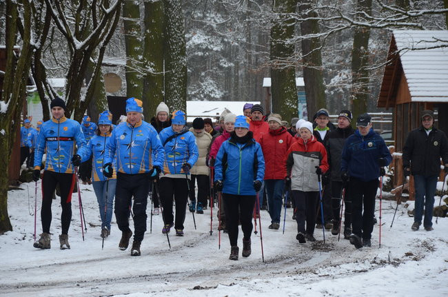 Piechurzy w bajkowym lesie (zdjęcia)