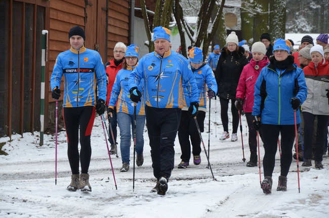 Piechurzy w bajkowym lesie (zdjęcia)