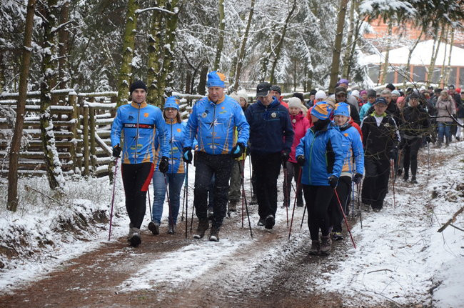 Piechurzy w bajkowym lesie (zdjęcia)