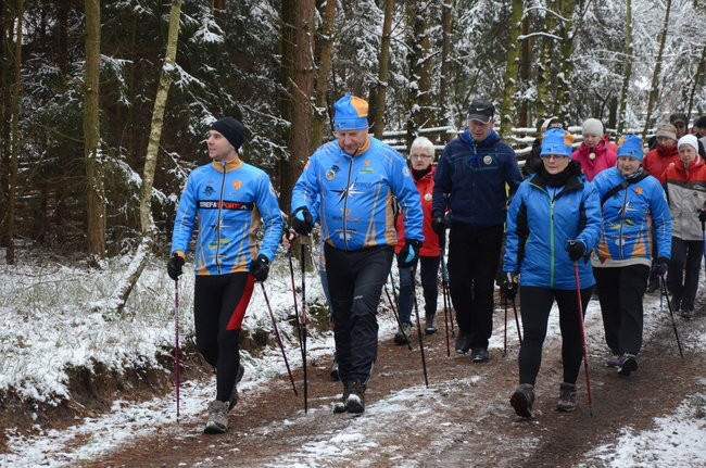 Piechurzy w bajkowym lesie (zdjęcia)