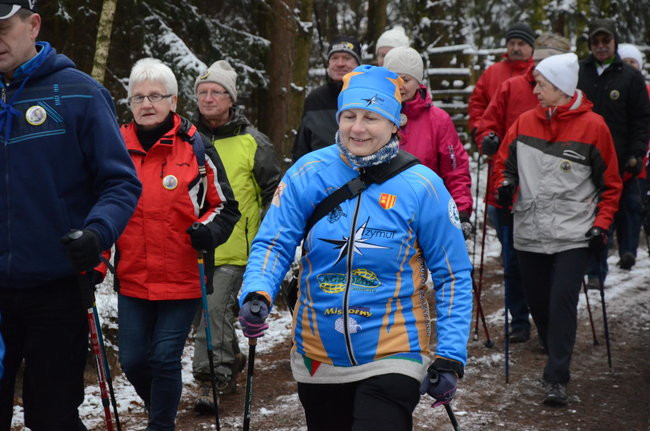 Piechurzy w bajkowym lesie (zdjęcia)
