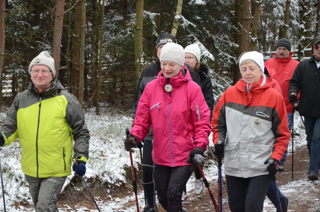 Piechurzy w bajkowym lesie (zdjęcia)
