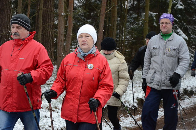 Piechurzy w bajkowym lesie (zdjęcia)