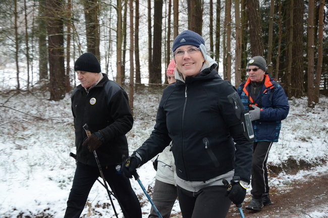 Piechurzy w bajkowym lesie (zdjęcia)