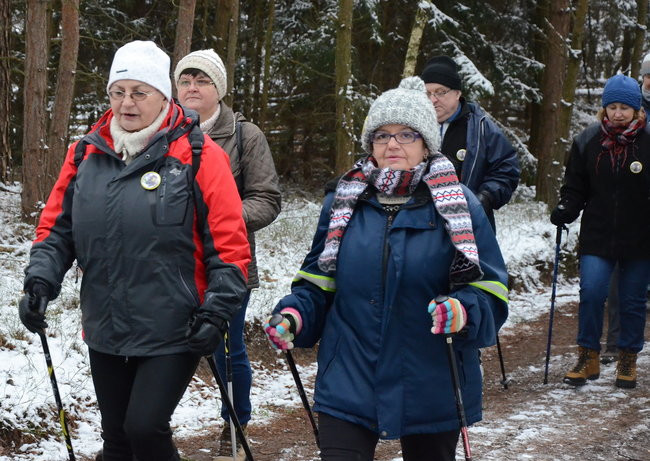 Piechurzy w bajkowym lesie (zdjęcia)