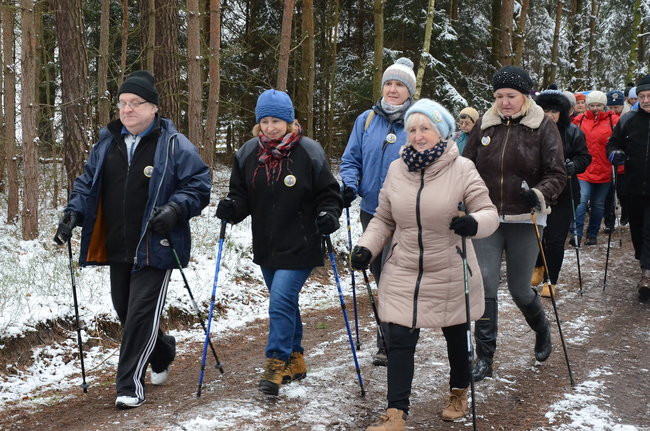 Piechurzy w bajkowym lesie (zdjęcia)