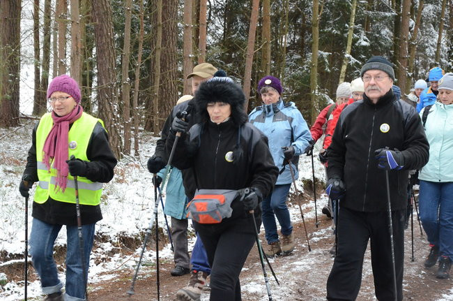 Piechurzy w bajkowym lesie (zdjęcia)