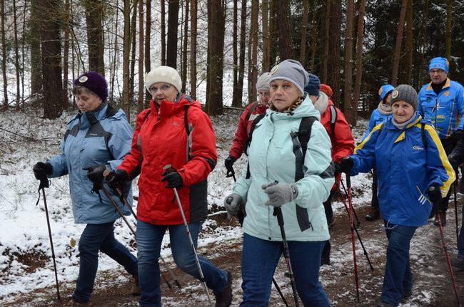 Piechurzy w bajkowym lesie (zdjęcia)