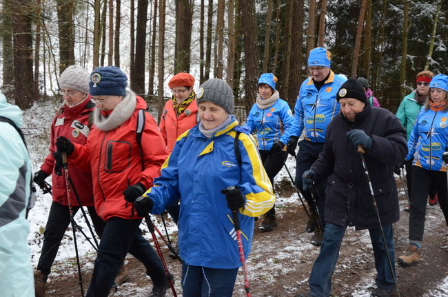 Piechurzy w bajkowym lesie (zdjęcia)