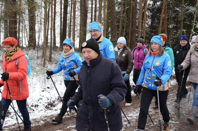 Piechurzy w bajkowym lesie (zdjęcia)