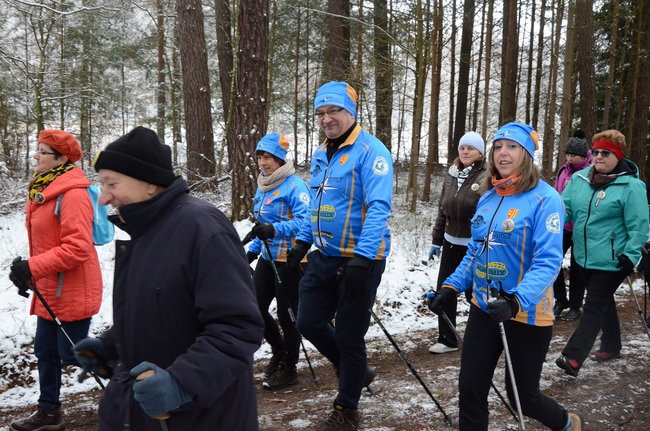 Piechurzy w bajkowym lesie (zdjęcia)