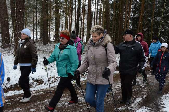 Piechurzy w bajkowym lesie (zdjęcia)