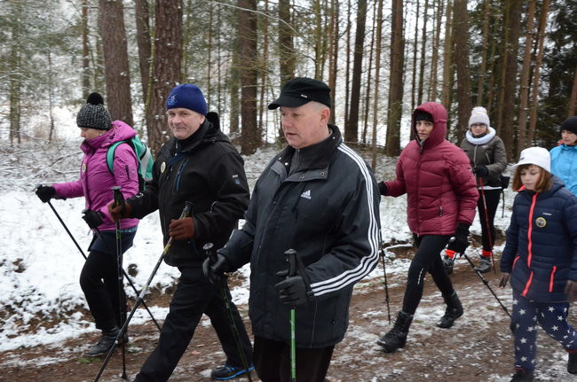 Piechurzy w bajkowym lesie (zdjęcia)
