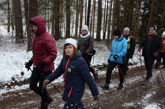Piechurzy w bajkowym lesie (zdjęcia)