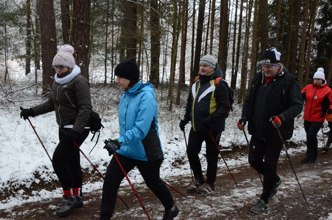Piechurzy w bajkowym lesie (zdjęcia)