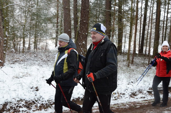 Piechurzy w bajkowym lesie (zdjęcia)