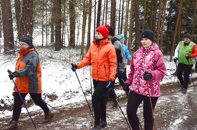 Piechurzy w bajkowym lesie (zdjęcia)