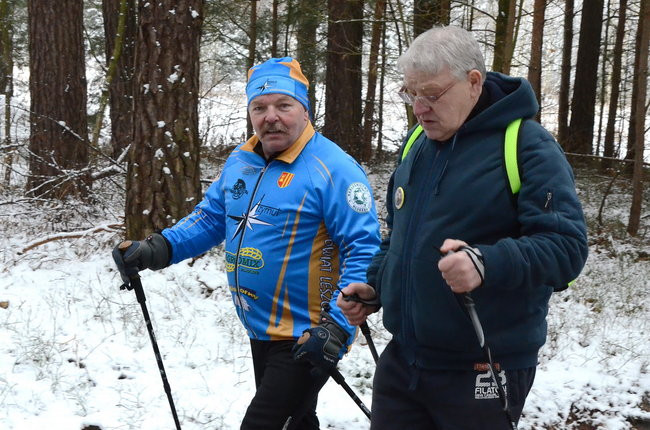 Piechurzy w bajkowym lesie (zdjęcia)