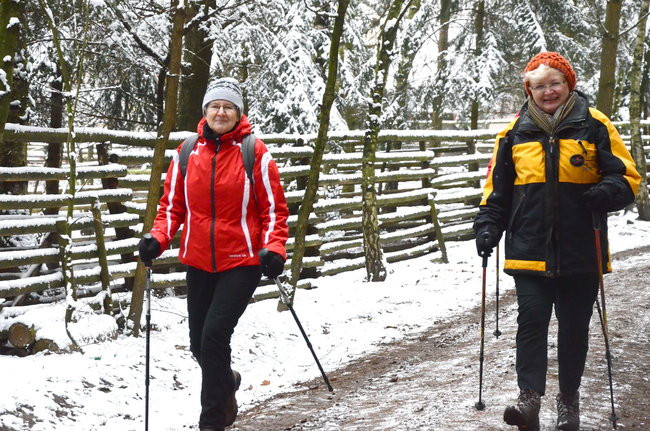 Piechurzy w bajkowym lesie (zdjęcia)
