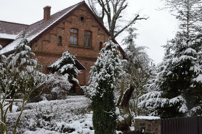 Piechurzy w bajkowym lesie (zdjęcia)