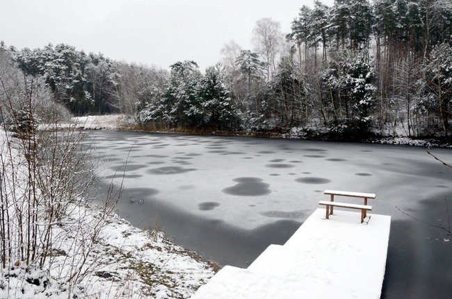 Piechurzy w bajkowym lesie (zdjęcia)