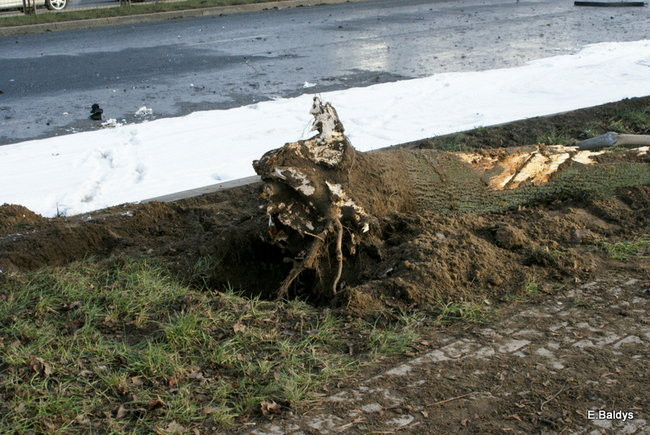 Skrzyżowanie przy Trapezie zablokowane! (zdjęcia)  !