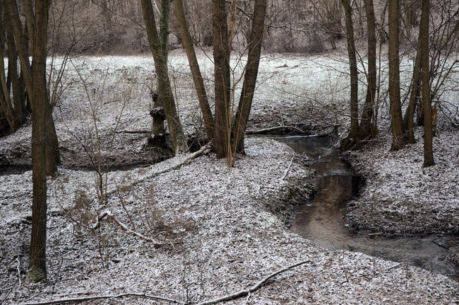 Nim spiętrzą wodę