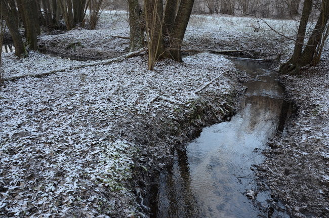 Nim spiętrzą wodę