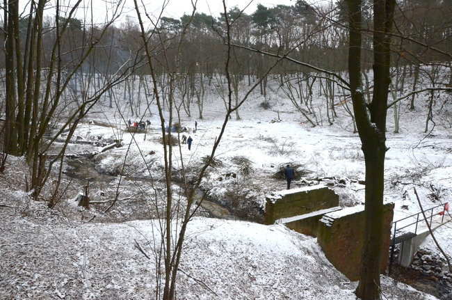 Społecznie dla natury (zdjęcia)