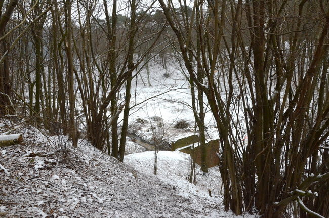 Społecznie dla natury (zdjęcia)