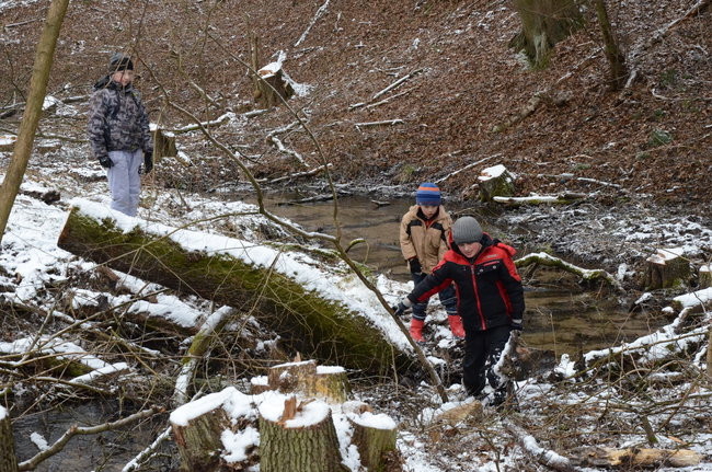 Społecznie dla natury (zdjęcia)